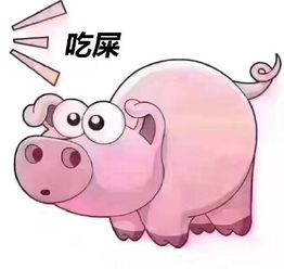  在干嘛吃屎表情包大全下载在干嘛吃屎猪套路表情包无水印版jz5u绿色下载站
