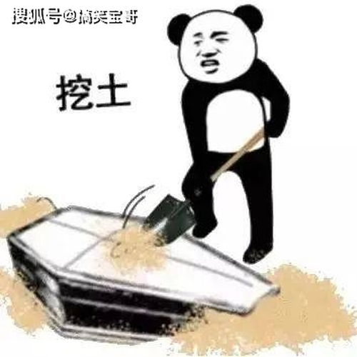  沙雕表情包2