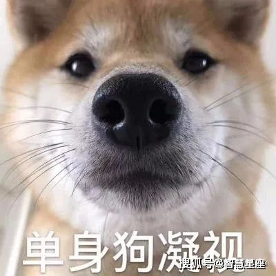  近两年很难脱单的星座top6
