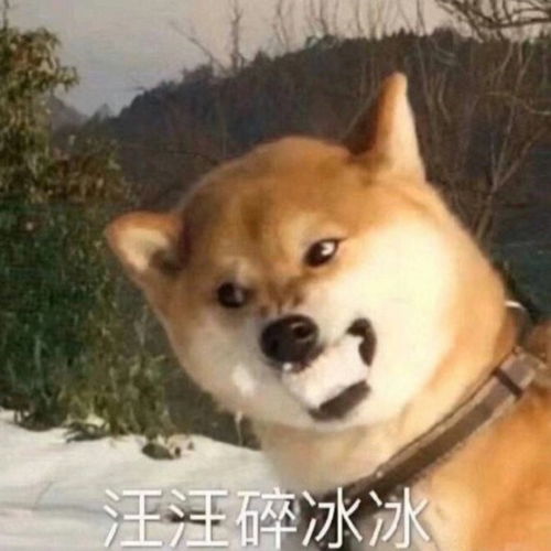  旺旺碎冰冰,到底是什么梗