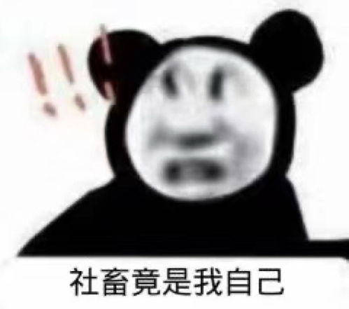 沙雕熊猫表情包社畜竟是我自己 沙雕熊猫表情包社畜竟是我自己
