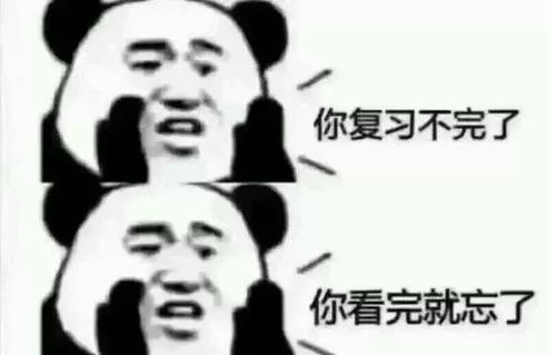  原来你们是这样复习的啊