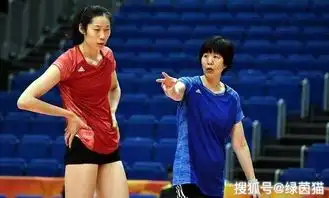揭秘郎平重用朱婷前后彼此成就,大国家队计划拯救中国女排 揭秘郎平重用朱婷前后彼此成就,大国家队计划拯救中国女排