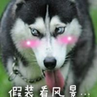  卡通二哈表情包