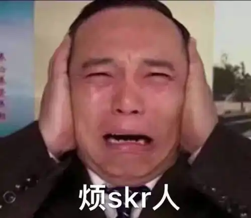  skr是个啥子梗不懂skr说明你老了