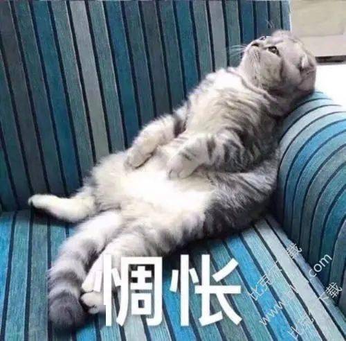  体测快来了不怕,带你找回状态