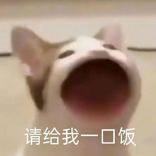  1月7日viko,听墙角捡垃圾记录