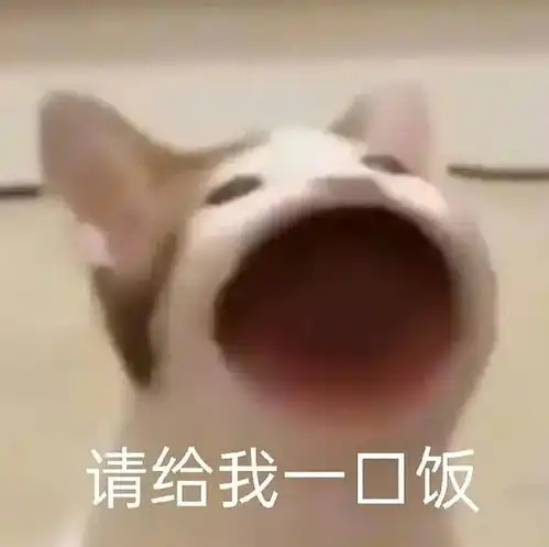 1月7日viko,听墙角捡垃圾记录 1月7日viko,听墙角捡垃圾记录