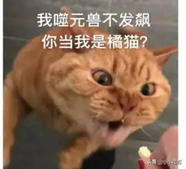  吱哟幽默笑话啊我不挑食啊我什么肉都吃啊