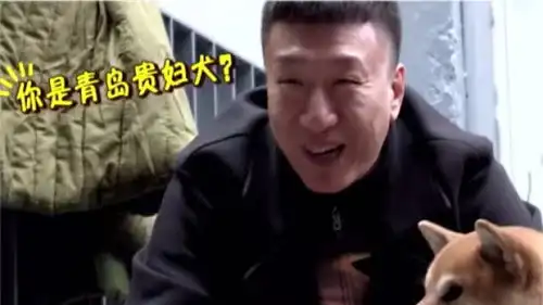 明星实力撞脸萌宠,孙红雷和牛头梗太像了,撒本宁实力演绎表情包 明星实力撞脸萌宠,孙红雷和牛头梗太像了,撒本宁实力演绎表情包