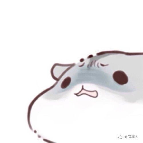  从ustcers的国庆假期路过