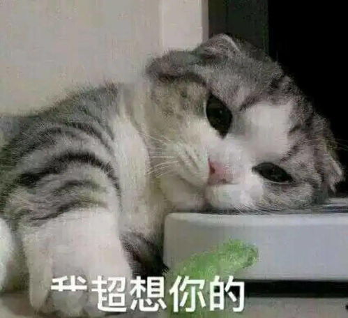  和理工科研究生谈恋爱是一种怎样的体验