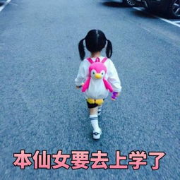  权律二表情包本仙女要去上学了