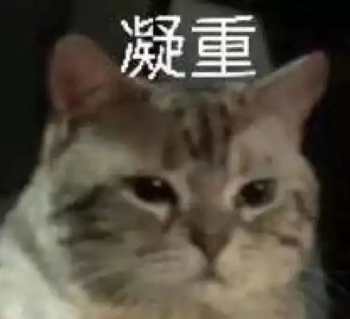  80的日本女人都出过轨出轨劈腿已经成为日本的正常现象...
