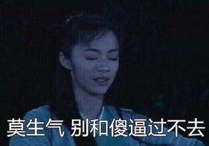  武林外传带字搞笑表情包是仙女要温柔
