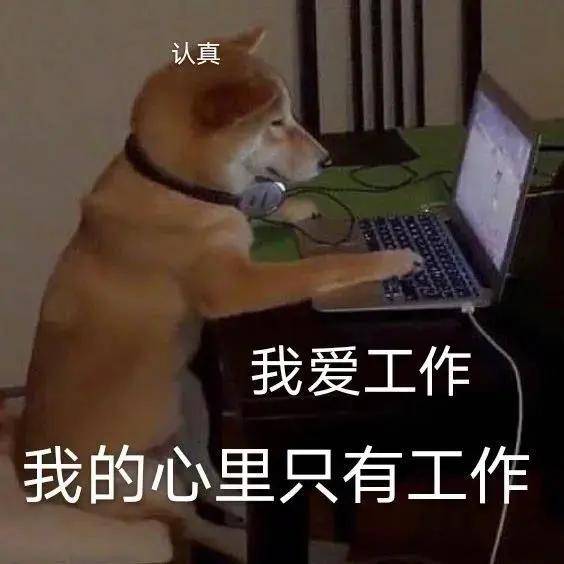  幽默搞笑表情包我只有你这一个宝贝了