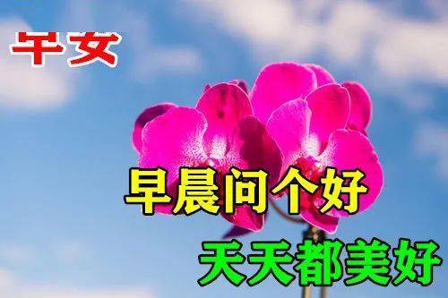 运气太好表情包早上好