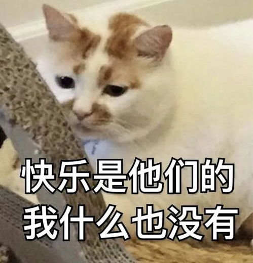  5.205.21,想在这两天领证的青岛人注意了多地已公告