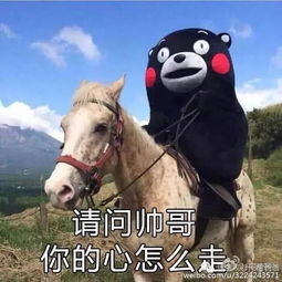  大张伟瘦身成功动若脱兔的他要做安静的美男子段子界只留下薛之谦孤独的背影