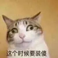  返程务工堵在路上的小猫变身侦察兵网友原来每只小猫都有黑猫警长的血脉
