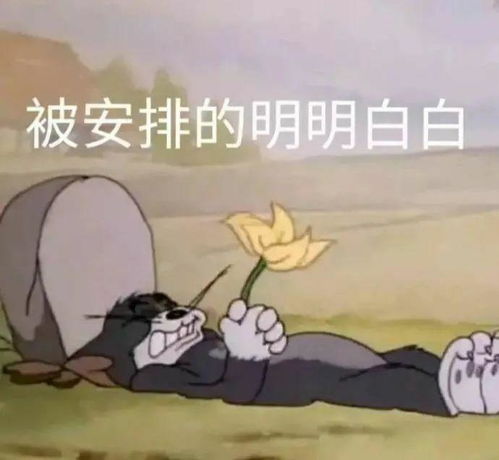  有什么最搞笑的文案