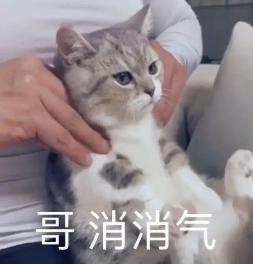 早表情包沙雕放假