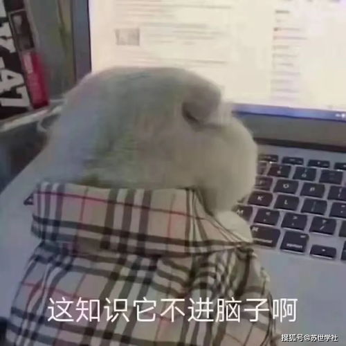  考研杂谈考研和高考的区别