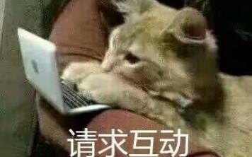  我愿称之为热血bilibili