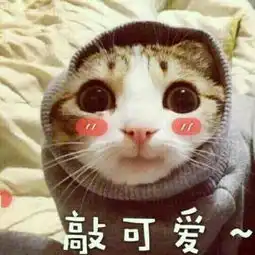 猫猫蹲坐的时候为什么喜欢把尾巴尖搭在小手手上面 猫猫蹲坐的时候为什么喜欢把尾巴尖搭在小手手上面