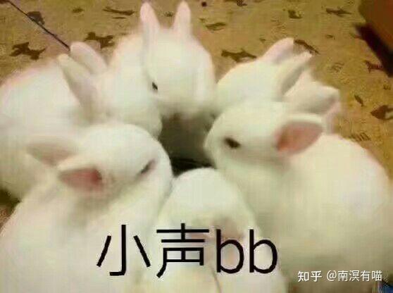  如何能提高语文阅读理解能力