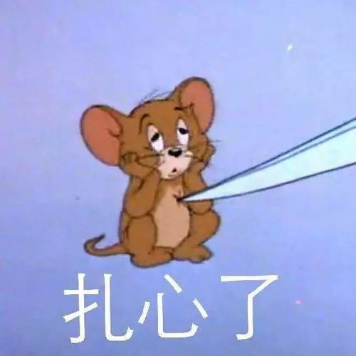  清北毕业生可落户上海,没上清华北大就真的低人一等吗