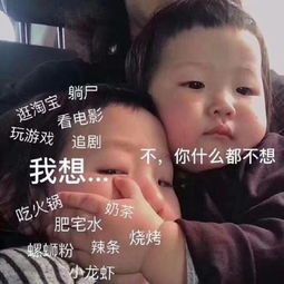 我想逛淘宝玩游戏看电影不,你什么都不想热门表情包