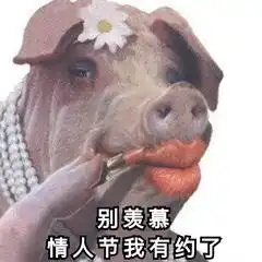 适合情人节发的表情包呐,给你花花,情人节快乐 适合情人节发的表情包呐,给你花花,情人节快乐