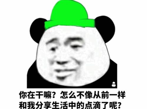 在干嘛表情包搞笑聊天表