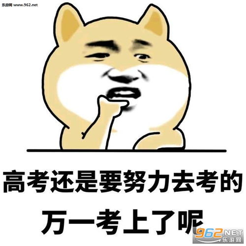  考不上没关系还能去乞讨表情包高考加油加油表情包下载无水印乐游网游戏下载