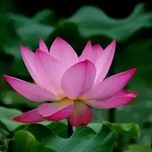 感悟人生的经典句子,深度美文,意味深长 感悟人生的经典句子,深度美文,意味深长