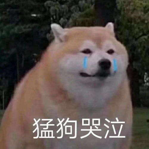  口腔溃疡好烦人,害我都不能好好享受美食