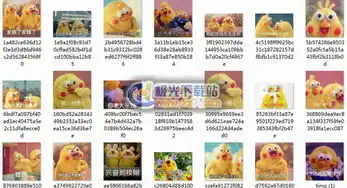  鹦鹉兄弟相关下载鹦鹉兄弟合集下载