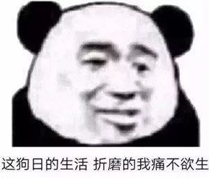  表情包图片脑阔痛,我都看见了