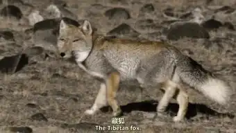 124期美女心情不好的时候怎么办 124期美女心情不好的时候怎么办