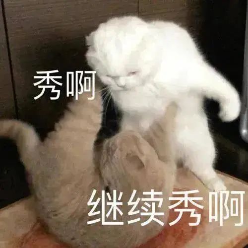  忍一时越想越气第258期喵表情