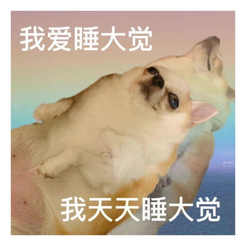  表情包一组有趣的表情包48期