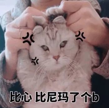  可爱猫猫表情包为了生活