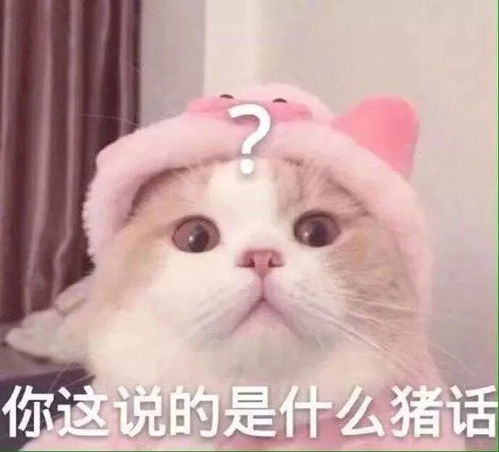  抖音表情包大全丨现在有三头猪正在对视