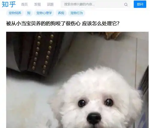 咬死你表情包宠物犬
