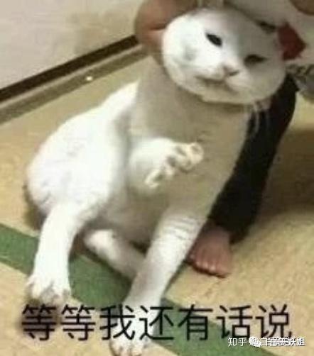  你最喜欢的抖音网红是谁
