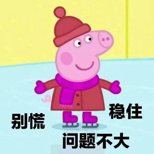 小黄脸表情包大全小猪佩