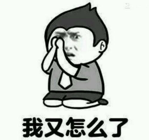  十条段子我就想体验一下被他追的滋味