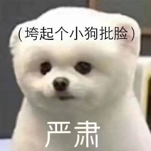  表白墙找人真的靠谱吗6.6更新