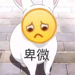  学生投稿一战gre334我的备考经验是